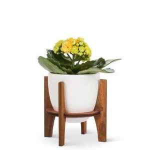 Pot de fleurs en céramique élégant avec support en bois, jardinière d'intérieur, porte-plantes moderne et minimaliste pour la décoration de la maison, du bureau ou de la table - Product Image 4