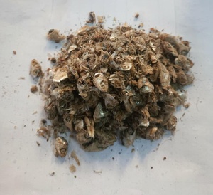 Harina de pescado vietnamita, alimento con alto contenido de proteínas para pollo, pescado, ganado y cerdo en bolsa de 50kg, contenedor de 18 toneladas/20 pies - Product Image 4