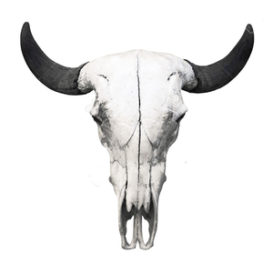 l Masterpiece Exquisite Hand Carved Buffalo <b>Bull</b> & Ram <b>Skull</b> with Majestic Horns Contemporary Wall & Stand Art - Product Image 5