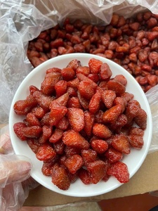 Fresas Secas Suaves en Trozos Enteros |   Snack Natural de Fruta Masticable |   Suministro al por Mayor de Calidad Premium - Sra. Tarina - Product Image 5