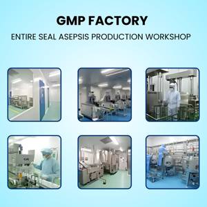 100% Extrait naturel de Terminalia chebula Extrait de Terminalia Chebula de haute qualité- - Product Image 3