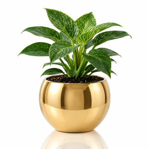 Gold Metal Planter <b>Pot</b> 8cm x 10cm <b>Small</b> Decorative Flower Container for <b>Indoor</b> <b>Plants</b> Modern Tabletop Planter for Living Room - Product Image 4