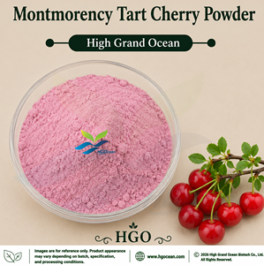 Suministro Directo de Fábrica HGO, Polvo de Cereza Montmorency Natural (Grado Alimenticio), Polvo de Fruta Secado por Aspersión o Liofilizado - Product Image 1