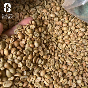 Grains de café vert Robusta bruts 95% mûrs, procédé Honey, sac de 60 kg, vente en gros, usine Vietnam, qualité B2B, export premium - Product Image 1