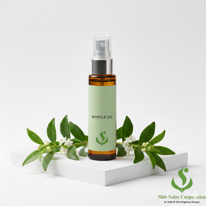 Huile de Myrte Verte Conditionnée en Vrac, Idéale pour les Acheteurs Internationaux dans le Développement de Produits Aromatiques - Product Image 1