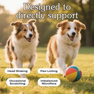 Probiótico Orgánico para Perros, Masticables Blandos para el Apoyo Inmunológico y la Alergia, Sabor a Pollo, Fórmula Recomendada por Veterinarios, Reduce la Picazón en la Piel - Product Image 4