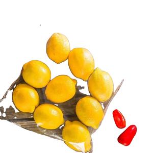 Sacs à fermeture éclair en LDPE transparent pour tous vos besoins ODM avec prix d'usine - Product Image 1