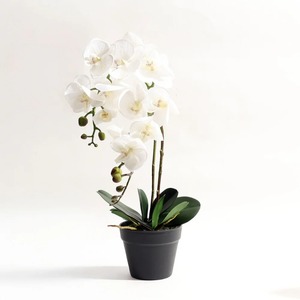 Unique Fancy <b>Texture</b> Finished Customized Size And Shape Available Superior Quality Metal Garden Flower Pots And Planters Supply - Product Image 6