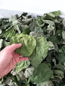 Gelée de feuilles de lotus bleu bio sans sucre de haute qualité, ingrédient détoxifiant naturel et durable à base de plantes 24 - Product Image 6