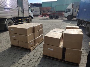 Madera de Café para Masticar, Madera para Perros, Marca Coffee Tree, Palo de Café Arábica Pulido y Palitos para Masticar para Perros/ Sra. Lima - Product Image 4