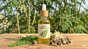 Huile de graines de Moringa 100% pure et naturelle pressée à froid, prix de gros fabricant, huile essentielle pure pour le visage, la croissance des cheveux et tous types de peau - Product Image 2