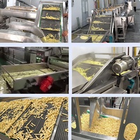 Aanpasbare 304 Food-Grade Roestvrijstalen Frietchips Die Machine Automatische 100Kg Lijnproductie Maken