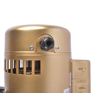 Single Speed 2.5HP <b>Pool</b> Pump Motor 115V/230V W3SP2621X25 - Product Image 5