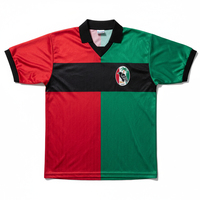 Camiseta de Fútbol Personalizada de Palestina, Cuello en V, 100% Poliéster, Gestión de la Humedad, Uniforme Profesional para el Equipo Palestino