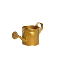 Arrosoir en métal pour jardinage, finition galvanisée durable, couleur vert lime, bec long, acier inoxydable, capacité 1,5 L