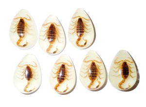Golden Scorpion Real Specimen Plastic Cabochon Pear Shape Cut <b>Top</b> 33x22 mm Glow Flat Bottom for Crafts and Jewelry Making - Product Image 5