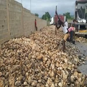 Látex de caucho natural en grumos, grado de recubrimiento/calandrado/desmoldeado, resistencia a la tracción de 30 MPa para procesamiento industrial - Product Image 5
