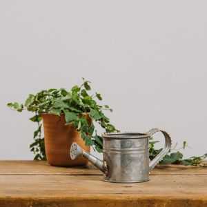 Arrosoir en acier léger pour jardinage intérieur, finition lisse, bec long, versement précis, corps résistant à la corrosion - Product Image 2