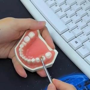 Elevador dental con mango dorado y plateado, elevador apical Cryer, fórceps quirúrgico para extracción de dientes y raíces - Product Image 2