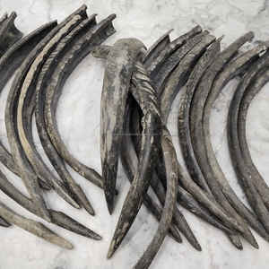 Élégante pièce en corne de buffle moderne et écologique, avec embout, fabriquée à la main, longue (24-27 pouces) pour la vie quotidienne, au prix de gros - Product Image 4