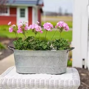Jardinière artistique galvanisée décorative pour l'intérieur et l'extérieur, pot à fleurs en métal, décoration pour la maison et le jardin - Product Image 3