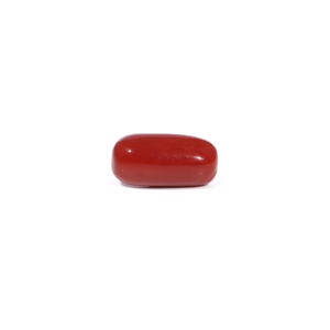 Natural Red Coral Loose Gemstone 3.29 Carat Certified Wholesale Raw - Product Image 1