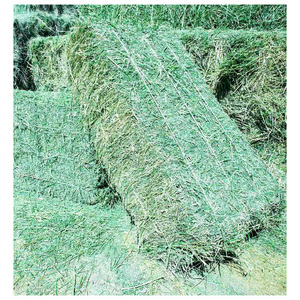 Heno de alfalfa para alimentación animal / Pellets de heno de alfalfa / Heno de Timothy en pacas - Product Image 5