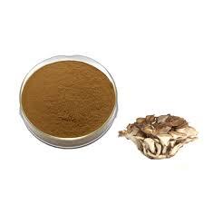 Polvo de Hongo Maitake al por Mayor OEM, Extracto de Grifola Frondosa en Polvo 100% Natural, Maitake Seco, Superalimento para el Apoyo Inmunológico - Product Image 4