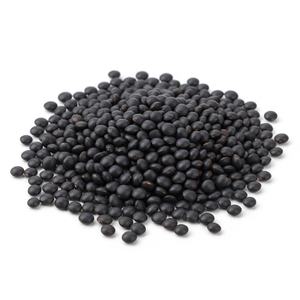 Lentejas Negras Orgánicas con 99% de Pureza y Semillas Premium Seleccionadas a Mano para el Mercado Internacional - Product Image 2