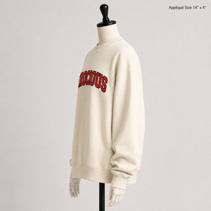 Sweat-shirts à capuche lourds de style personnalisé, streetwear, pull en molleton, sweat-shirts vierges avec logo sur le devant et le dos - Product Image 4
