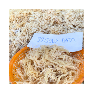 สาหร่ายคอตตอนนีออร์แกนิกเกรดอาหาร วัตถุดิบพรีเมียมจากเวียดนาม สำหรับการผลิตอาหารและการส่งออก - Product Image 1