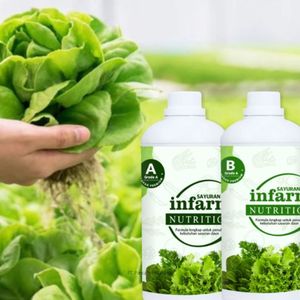 Engrais liquide biologique de haute qualité à base d'AB, solution nutritive hydroponique pour la croissance des légumes-feuilles, 100 ml - Product Image 2