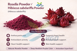 Suministro directo de fábrica HGO Pure Natural Roselle Powder / Hibiscus Sabdariffa Powder Herbal (polvo de frutas o verduras) - Product Image 5