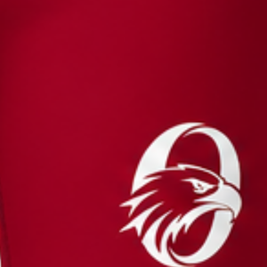 <b>Burgundy</b> Football <b>Shorts</b> Athletic Uniform <b>Shorts</b> Team Training Wear Custom Sports Apparel Performance Clothing - Product Image 4