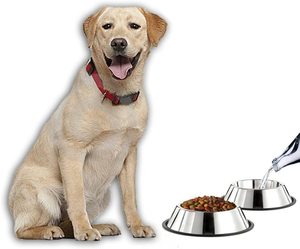 Bols pour chiens en acier inoxydable de 700 ml avec impression de logo personnalisé, antidérapants, pour nourriture et eau, pour chiots et chiens de petite, moyenne et grande taille - Product Image 1