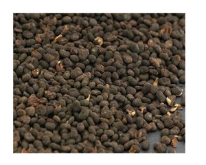 เมล็ดพืชปอร์ซาเลีย คอริลิโฟเลีย ขายส่ง สมุนไพรบาบชี รากสมุนไพร เครื่องเทศ จำหน่ายส่งจากผู้ผลิตและผู้ส่งออกในอินเดีย - Product Image 1