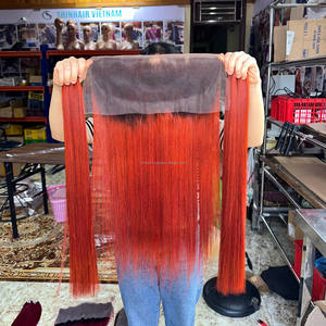 Produits capillaires en cheveux humains bon marché, extensions de cheveux vierges vietnamiens, mèches de cheveux lisses, avec ensemble frontal en dentelle, perruques à dentelle frontale - Product Image 2