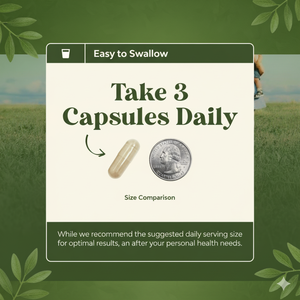 Fournisseur de compléments alimentaires avancés pour la santé masculine à base de plantes, vente en gros en vrac, capsules de soutien à la fertilité masculine - Product Image 4