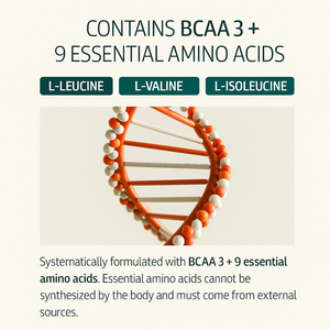 นมแพะคอลอสตรัมโปรตีนสูง แคลเซียมสูง 50 กรัม+ 26 กรัมโปรตีนต่อหนึ่งหน่วยบริโภค สำหรับผู้ใหญ่และเด็ก ผลิตภัณฑ์เสริมอาหาร OEM ขนาด 480 กรัม แบบขายส่ง - Product Image 4