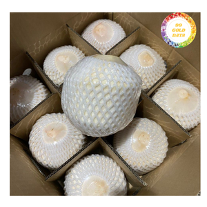 Premium <b>Fresh</b> Young <b>Coconut</b> Easy Open High Quality Refreshment Vietnam Origin Bulk Wholesale Supply - Product Image 6