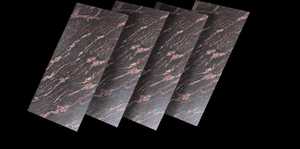 Losas y azulejos de granito de cuero marrón Tigre pulido Encimeras de piedra natural Pisos y revestimiento de paredes Cuero marrón duradero - Product Image 2