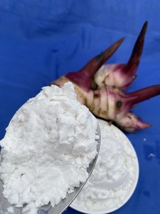 Amidon de marante de qualité supérieure, farine blanche en poudre, type naturel, provenant du Vietnam - Product Image 2