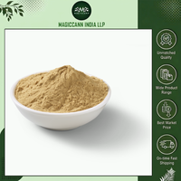 Poudre d'extrait de champignon naturel de haute qualité, qualité alimentaire, extrait par solvant, supplément de corteau de champignon pour la santé immunitaire, la force et l'énergie