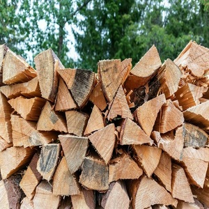 Leña Secada al Horno de la Mejor Calidad: Troncos de Roble, Haya y Madera Dura de Mangrovia, Proveedores de Astillas de Madera a Granel - Product Image 1