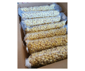 เมล็ดบัวแห้งพรีเมียมจากเวียดนาม - ส่วนผสมจากเมล็ดบัวธรรมชาติสำหรับทำขนมหวาน - Product Image 5