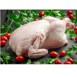 Pollo Congelado Halal de Calidad de Exportación al por Mayor, Pollo Fresco Congelado Disponible en Grandes Cantidades - Product Image 2
