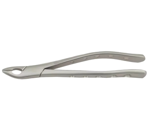 Forceps chirurgicaux dentaires en acier inoxydable de haute qualité, les plus vendus au Pakistan, instrument d'extraction, prix de gros direct usine - Product Image 5