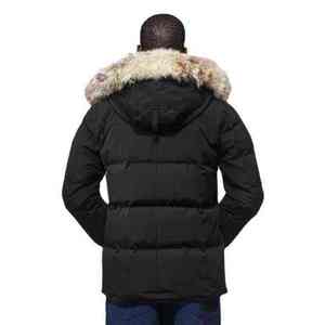 Veste matelassée de haute qualité pour homme, vêtement décontracté pour homme, manteau d'hiver, col montant, veste matelassée épaisse et isolante, style tendance - Product Image 2