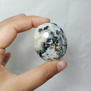 Venta al por mayor de alta calidad Natural Indonesia cebra piedra Palma piedra piedras preciosas artesanías curación cristal 45x35x15mm 30 pcs/kg - Product Image 2