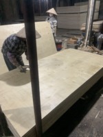 4x8 Third-Class Ash Tree Plywood 1/2 3/4 5/8 Inch Waterproof Marine Styrax E2 Formaldehyde Warehouse Use Made in Vietnam